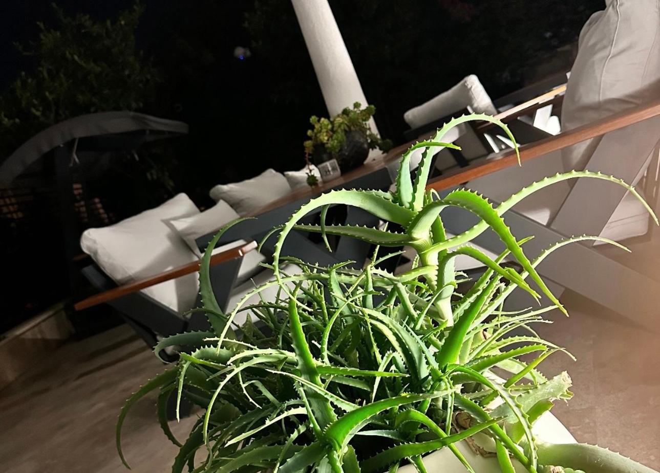 Noa Suite Hotel Only Adult Bodrum Екстериор снимка